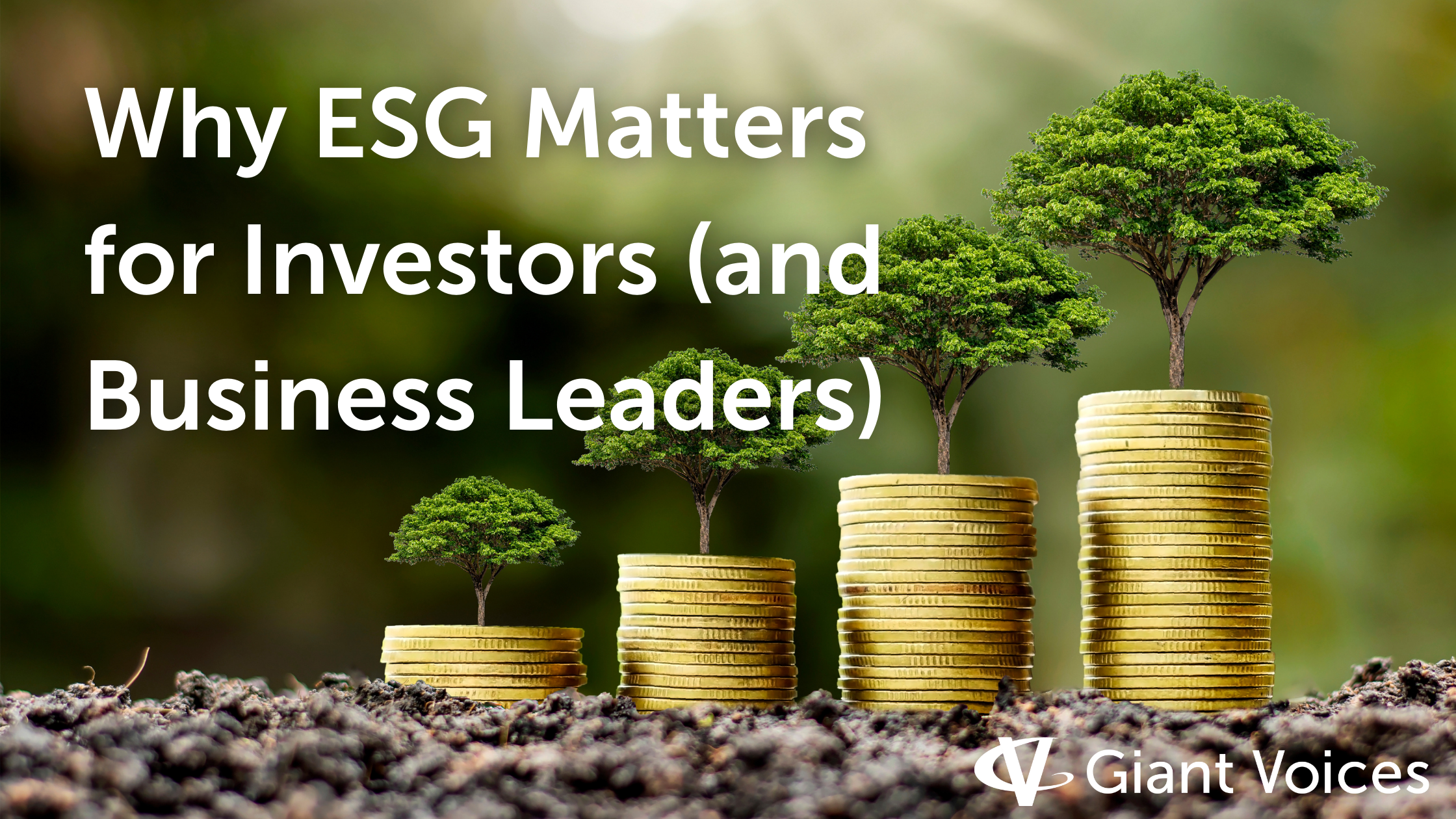 Value Creation And Risk Reduction: Why ESG Matters For Investors (and ...